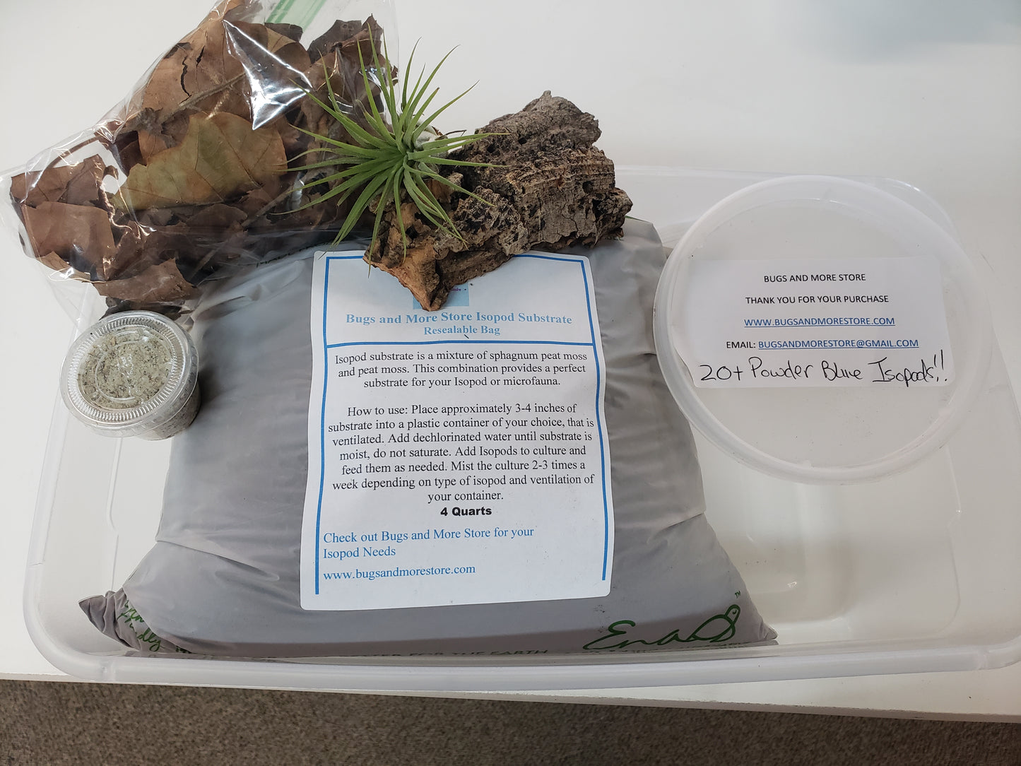 Isopod Starter Kit Includes 20+ Powder Blue Isopods and 8oz. Springtail Culture Included in to Start Your own Isopod Colony